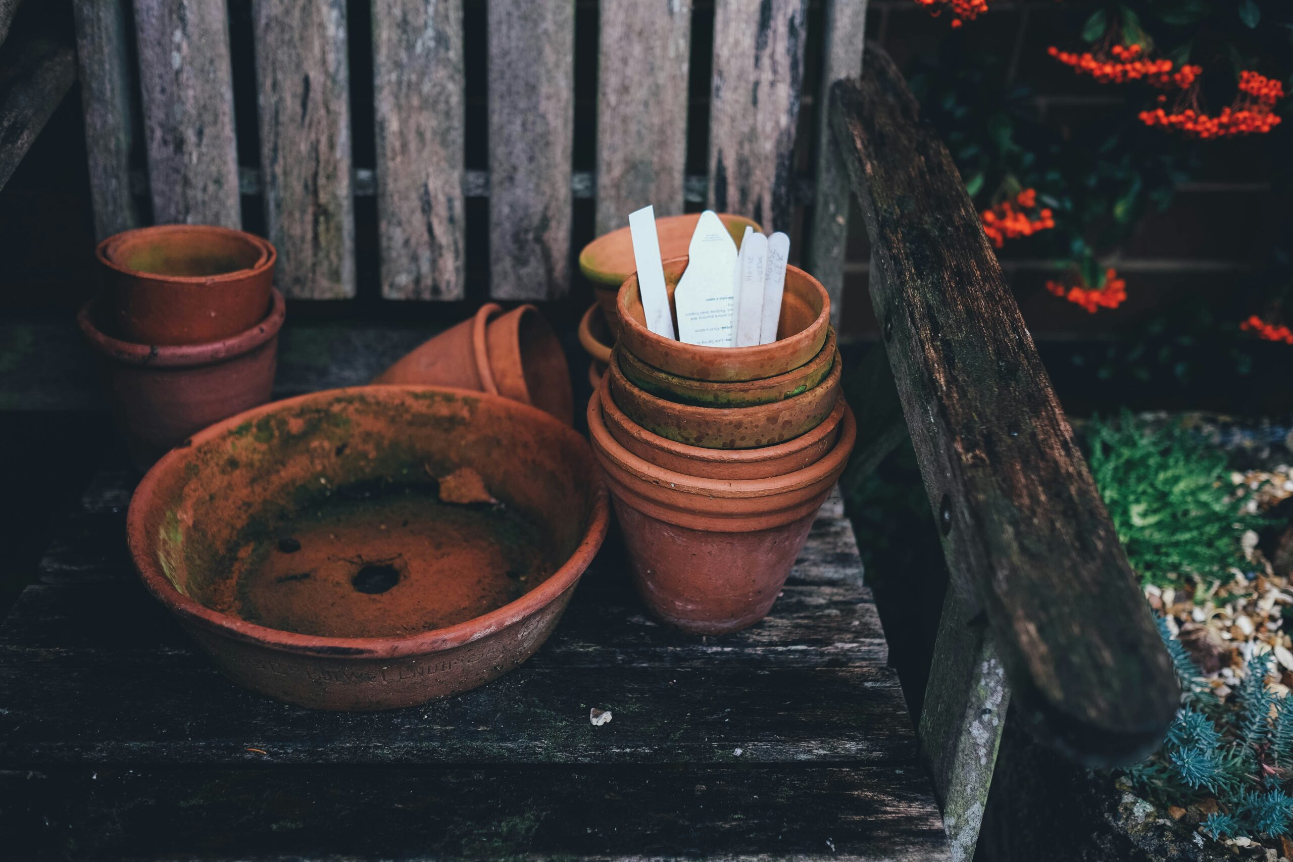 potting plants tools and empty pots